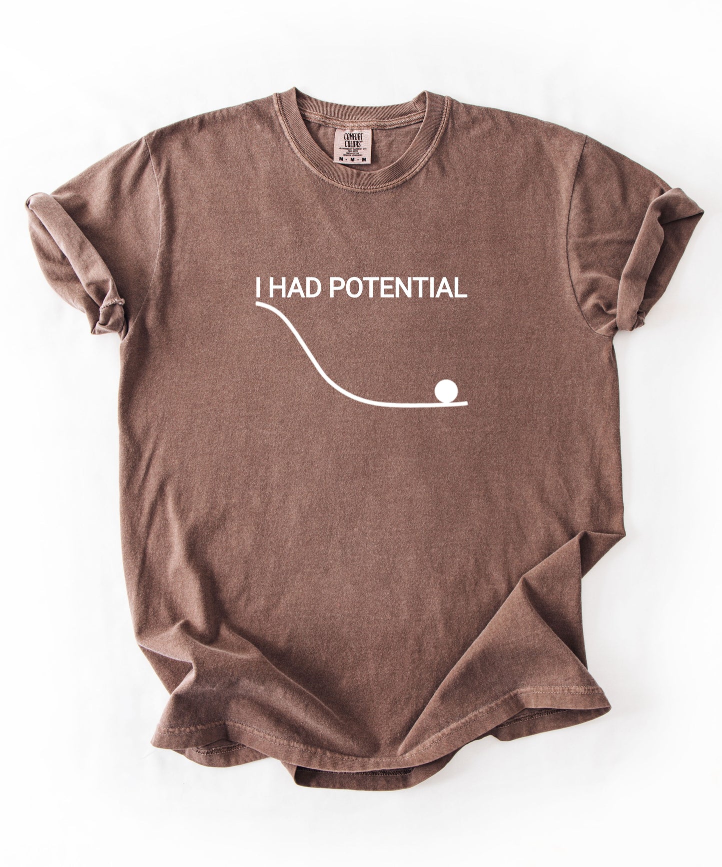 Comfort Colors Physics Pun Shirt “I Had Potential” | Science Humor Graphic Tee for Students & Nerds